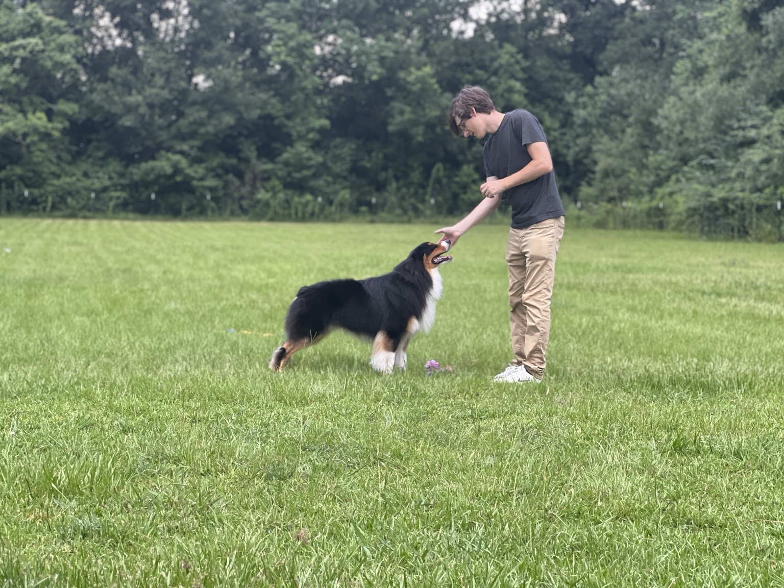 Chase working with Strike outdoors
