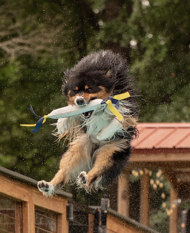 Strike gripping a bumper in midair