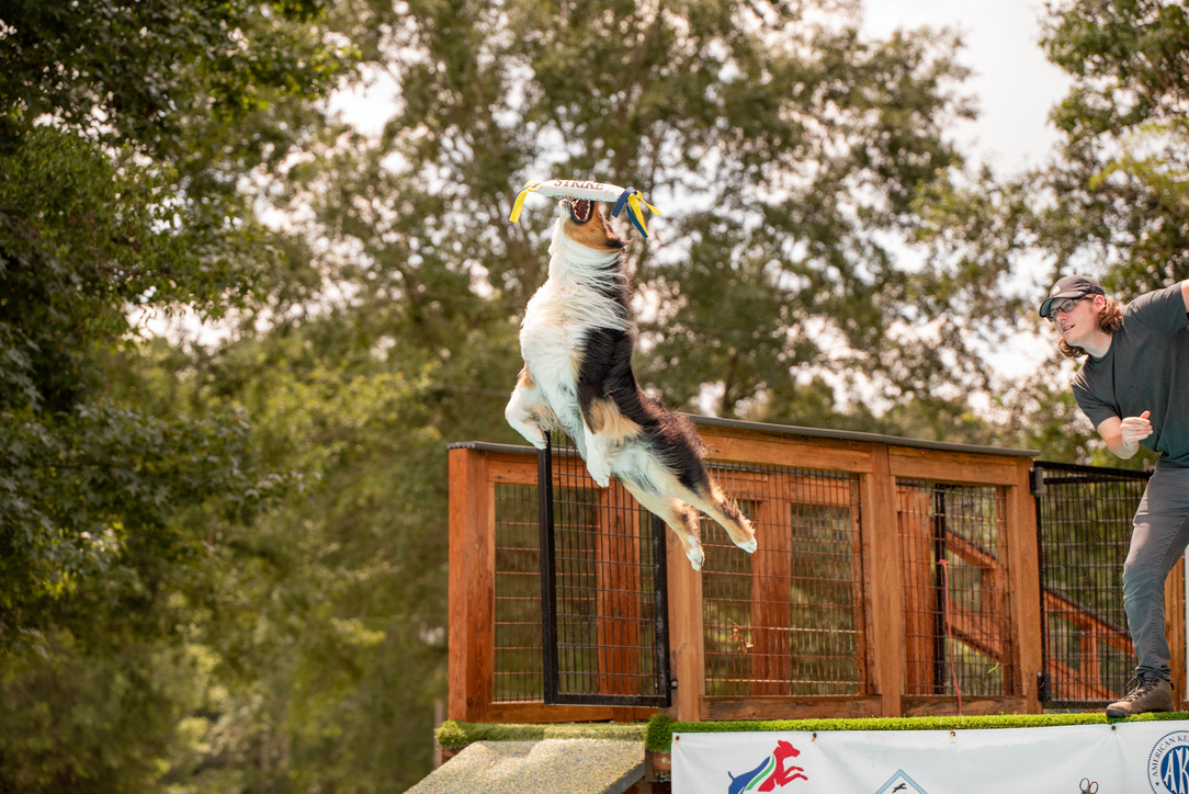 Strike making a high outdoor catch