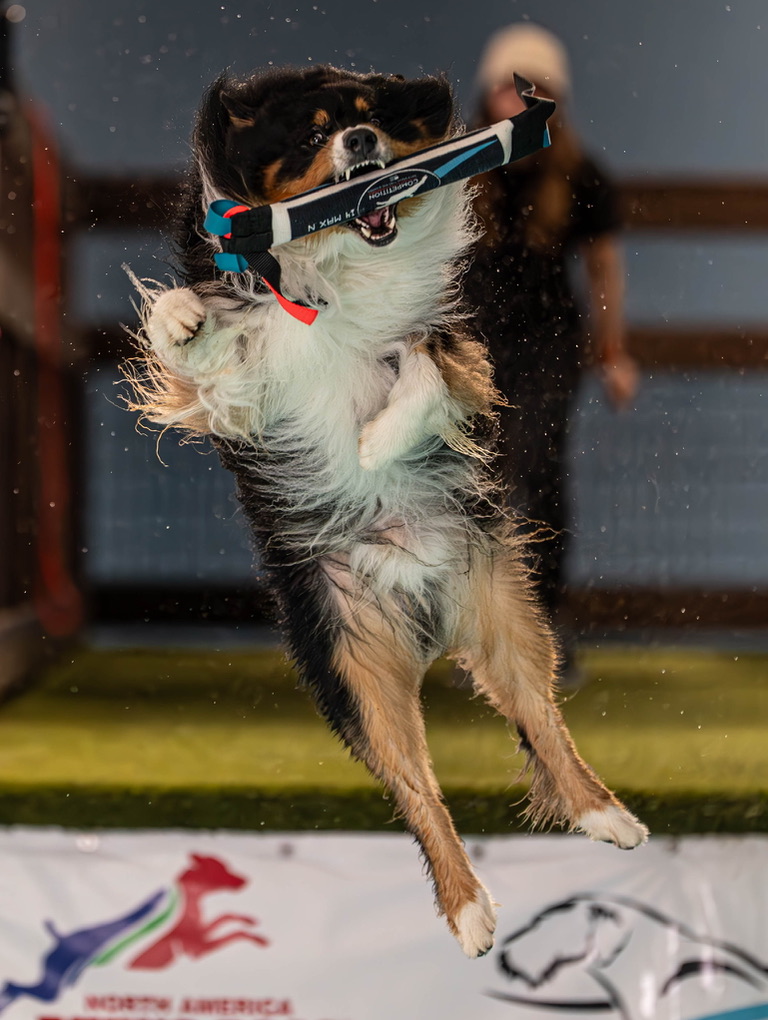 Strike carrying a black bumper in midair