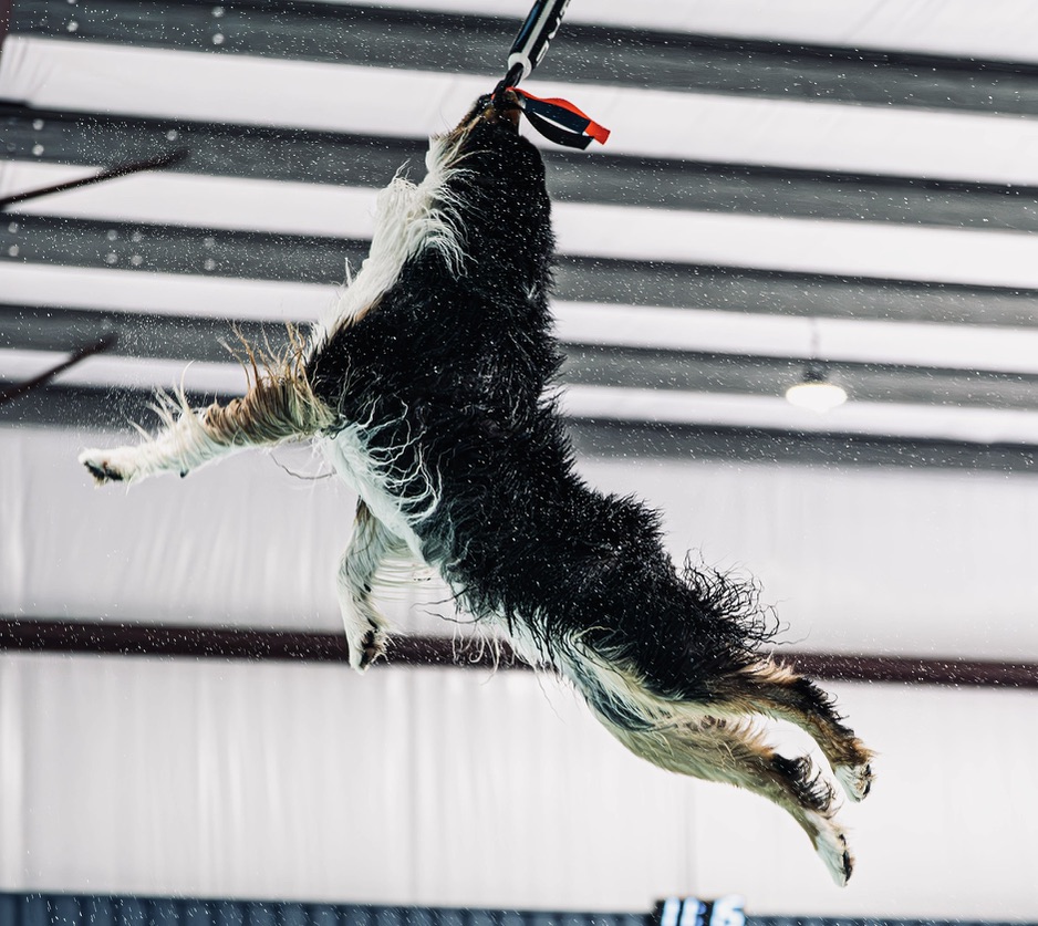 Strike stretching upward to catch a bumper indoors