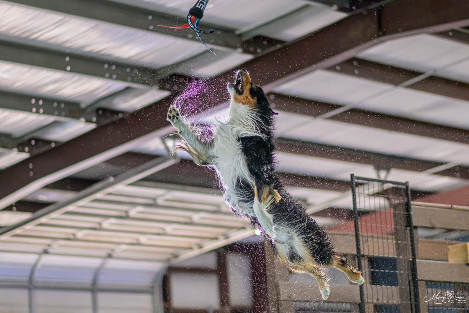 Strike launching from an indoor dock