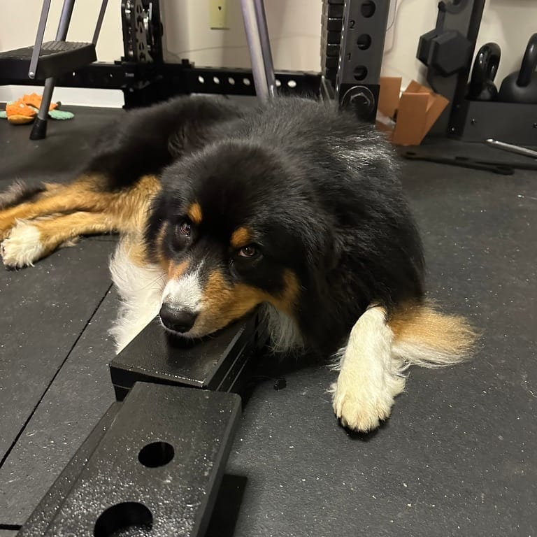 The Gym upgrade is coming faster