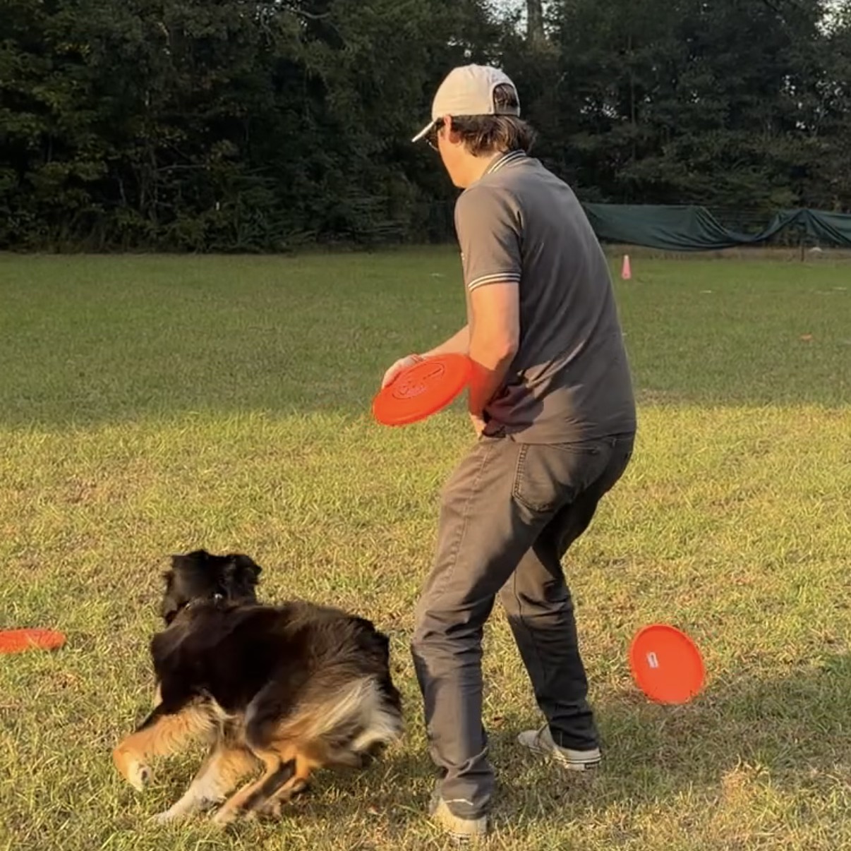 Chase and Banshee Disc